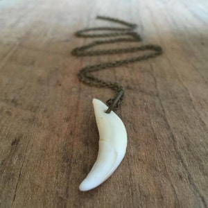 Naturally Found Coyote Fang Necklace