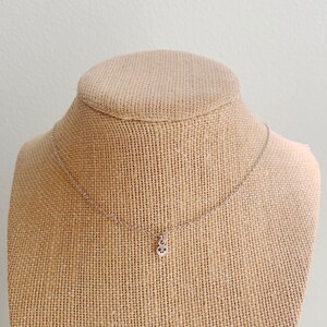 May include: A silver-colored necklace with a small skull pendant. The pendant is detailed with eye sockets and a nose cavity. The necklace is displayed on a burlap-covered bust.