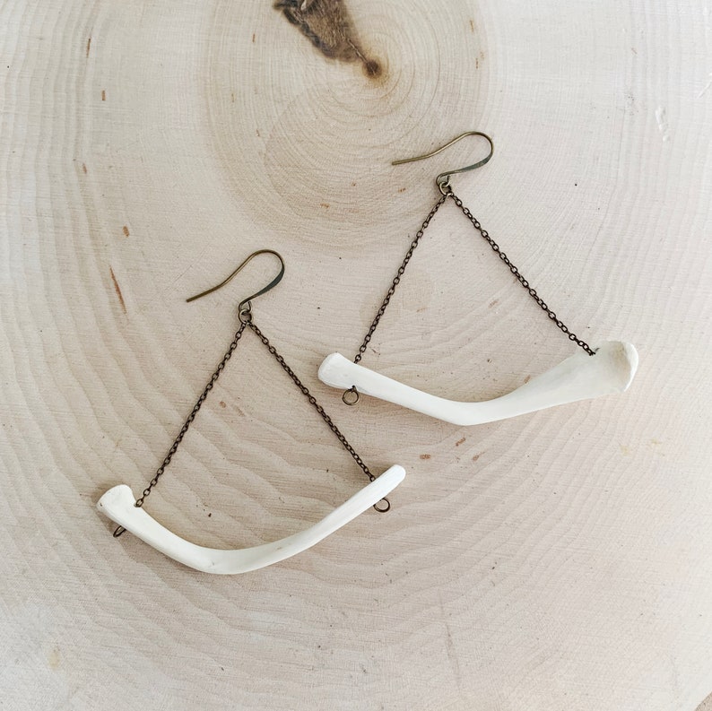 Snapping Turtle Branchial Bone Earrings Bone Jewelry Etsy