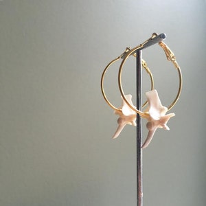 Rattlesnake Vertebrae Hoop Earrings GOLD Bone Jewelry Taxidermy Jewelry Snake Oddities Oddity image 1