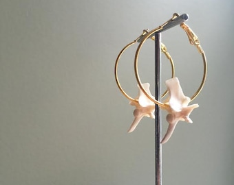 Rattlesnake Vertebrae Hoop Earrings - GOLD - Bone Jewelry - Taxidermy Jewelry - Snake - Oddities - Oddity