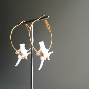 Rattlesnake Vertebrae Hoop Earrings GOLD Bone Jewelry Taxidermy Jewelry Snake Oddities Oddity image 5