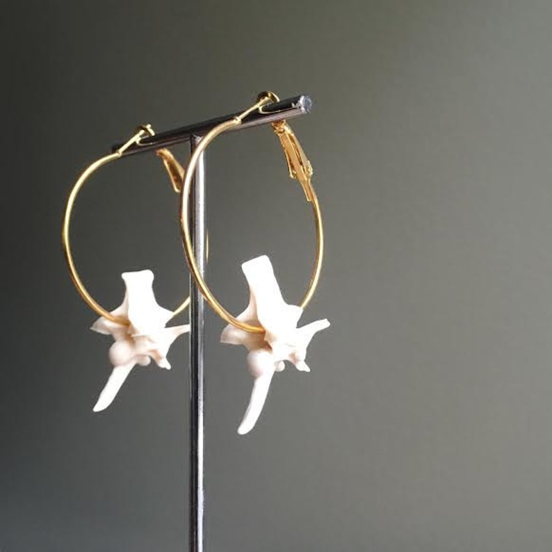 Rattlesnake Vertebrae Hoop Earrings GOLD Bone Jewelry Taxidermy Jewelry Snake Oddities Oddity image 5