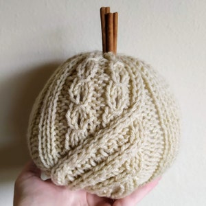 May include: A cream-colored knitted pumpkin with a woven texture. The pumpkin has a stem made of cinnamon sticks.