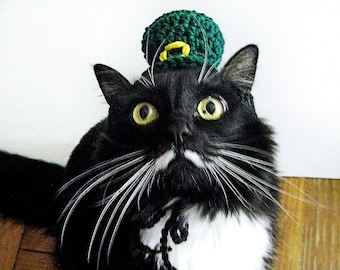 Crochet Cat Hat pattern - hat for cat - St. Patrick's Day - leprechaun hat - crochet cat pattern - cat dress up - cat clothes - dog pet hat