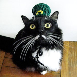Crochet Cat Hat pattern - hat for cat - St. Patrick&#39;s Day - leprechaun hat - crochet cat pattern - cat dress up - cat clothes - dog pet hat