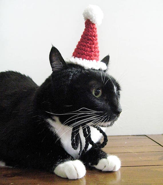 cat in a hat dress up