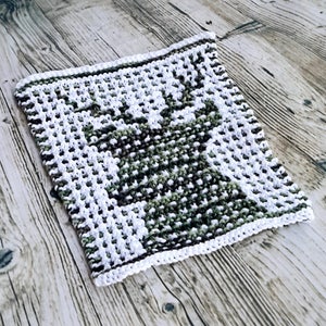 May include: A white and green knitted dishcloth with a geometric pattern.