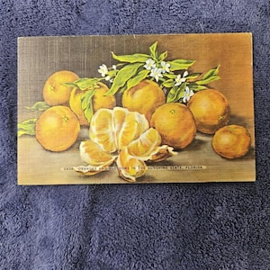 Vintage Postcard of Florida Oranges - &quot;Oranges and Blossoms in the Sunshine State, Florida&quot;