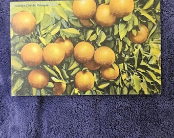 Vintagevykort med gyllene apelsiner i Florida - Vykort med stugdekor