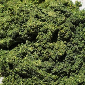 Dark Green Mica- Green Mica Powder, Mica Powder, mica, Nail mica, cosmetic mica