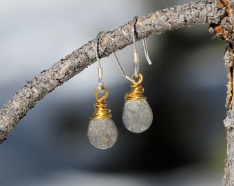 Brass Wire Wrapped Faceted Labradorite Drop Earrings