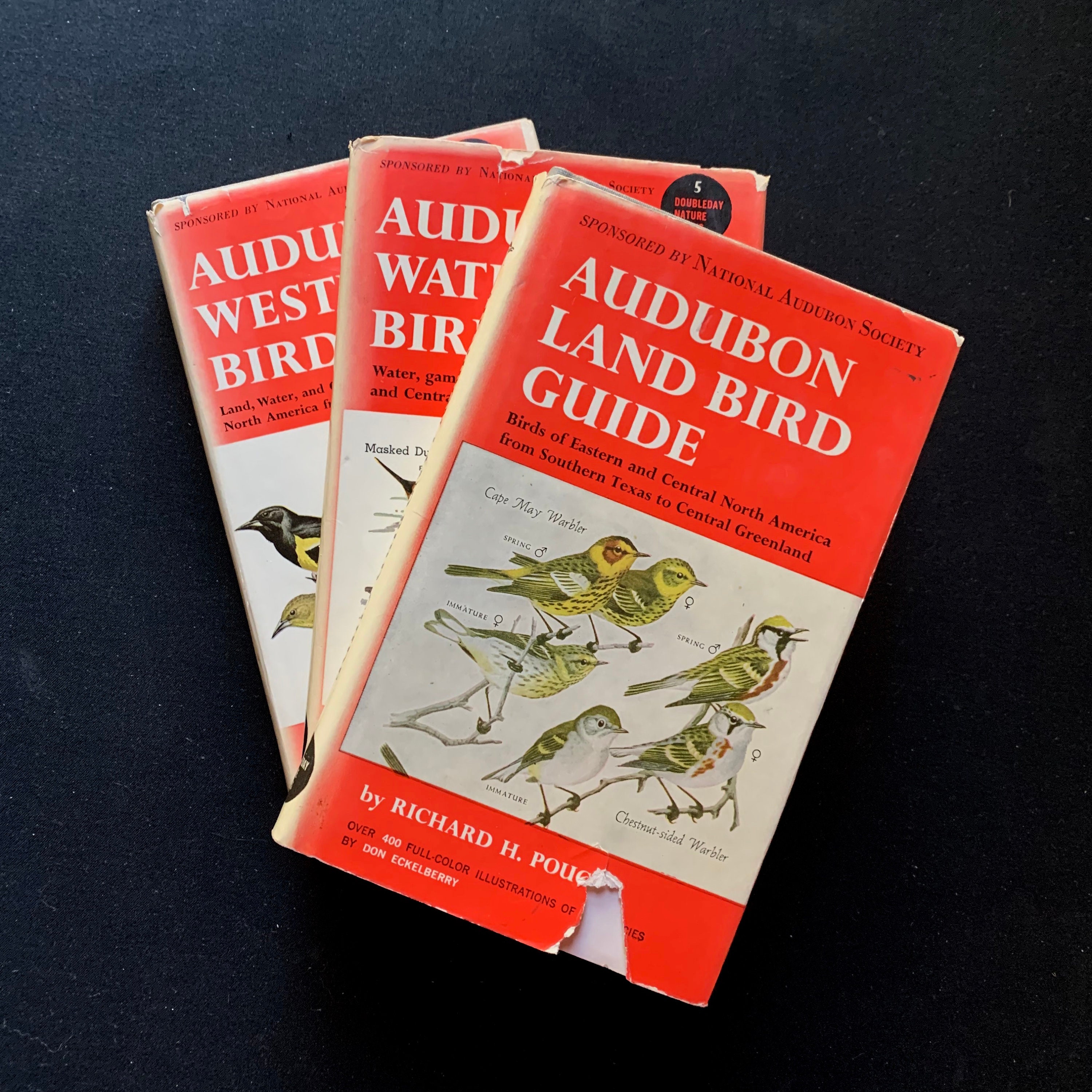 Vintage 1940s/1950s. Choice of Audubon Bird Guides by Richard - Etsy