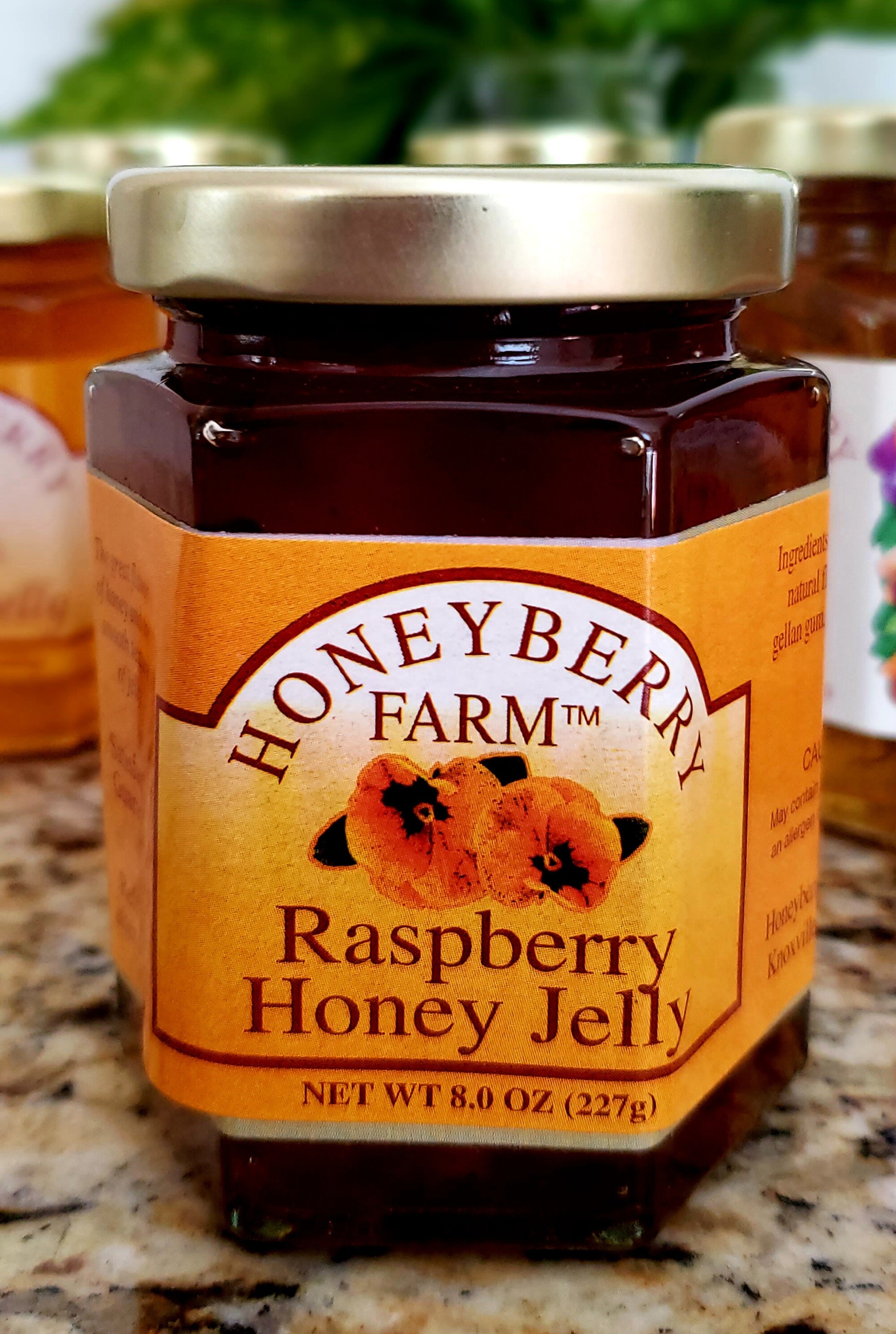 8oz Raspberry Honey Jelly Etsy