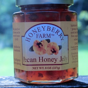 Southern Gourmet Pecan Honey Jelly