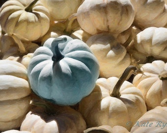 Pumpkin Photography, White Pumpkins, Blue Pumpkin, Kitchen Wall Art, Farmhouse Decor, Rustic, Fall Decor, Food Photography, Autumn Decor