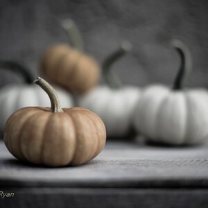 May include: Four small pumpkins, two are white and two are brown, sitting on a gray surface.