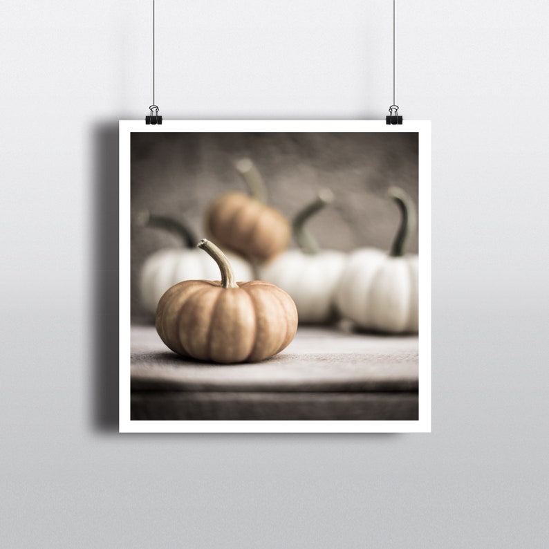 May include: A group of small pumpkins, one orange and two white, on a rustic wooden surface. The pumpkins are arranged in a casual, natural way, with the orange pumpkin in the foreground.
