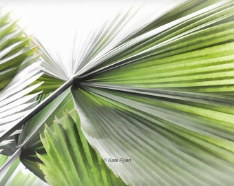 Palm Leaf Photo, Botanical Print, Tropical Leaves, Green Design, Beach House Decor, Minimalist Wall Art, Modern Wall Art, Tropical Wall Art