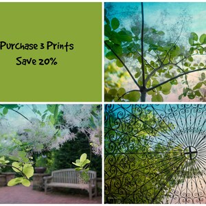 May include: A collage of four images featuring a green background with the text "Purchase 3 Prints Save 20%", a close-up of a tree with white flowers, a view of a tree canopy through a wrought iron trellis, and a bench under a tree with white flowers.