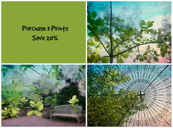 Green Garden Prints, Nature Photographs, Set of 3 prints, 20% discount, square format available, green decor, green design gallery wall art