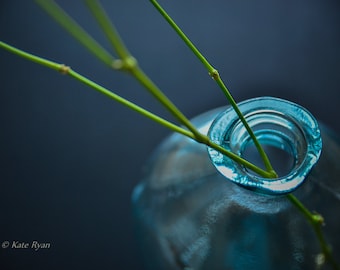 Soft Blue Green Botanical Print, Blue Vase, Photograph, Blue Green Wall Art, Modern Decor, Kitchen Wall Art, Office, Bath, Bedroom, Print