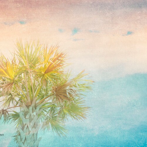 Coastal Wall Art, Turquoise Color Scheme, Fine shops Art Photo, Palm Trees Prints, Gallery Wall Art, Tropical Decor, Florida Coast