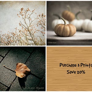 May include: A collage of four images. The top left image shows a bare tree branch with brown berries against a light gray background. The top right image shows three pumpkins on a gray surface. The bottom left image shows a brown leaf on a gray brick surface. The bottom right image shows a wood grain background with the text "Purchase 3 Prints Save 20%".