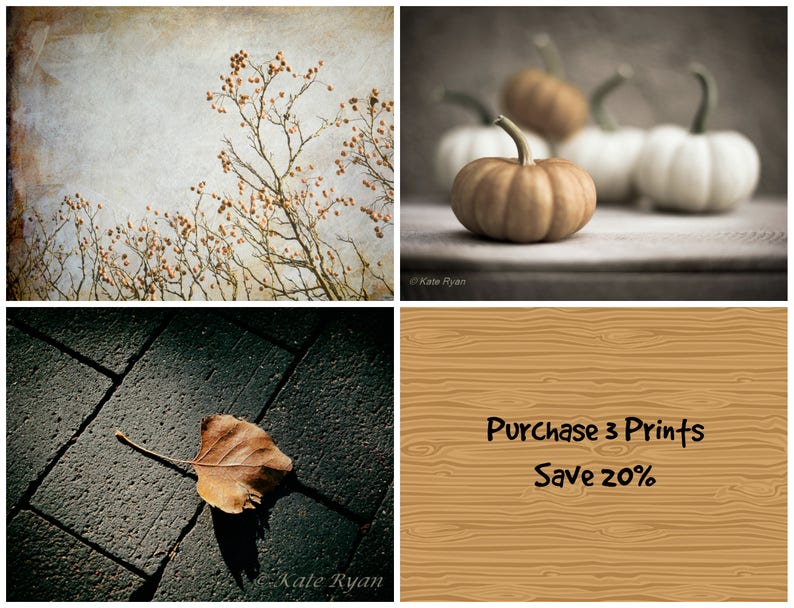 May include: A collage of four images. The top left image shows a bare tree branch with brown berries against a light gray background. The top right image shows three pumpkins on a gray surface. The bottom left image shows a brown leaf on a gray brick surface. The bottom right image shows a wood grain background with the text "Purchase 3 Prints Save 20%".