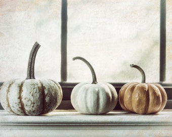 White Pumpkin Print, Stripped Pumpkin, Photograph, Kitchen Wall Art, Farmhouse Decor, Rustic, Fall Decor, Food Photography, Autumn Decor