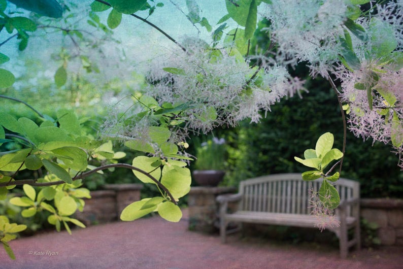 May include: A close-up of a wooden bench with a light wood finish. The bench is in a garden setting with green foliage and white flowers in the background.