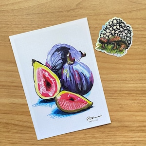 Cottage Core Fig Drawing Print + Mushroom Sticker Set