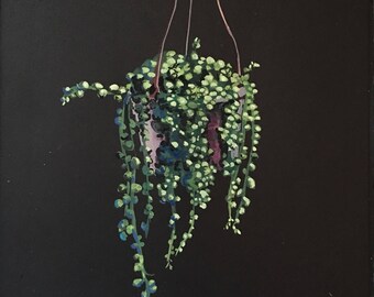 String of Pearls Succulent Houseplant Cacti Plant Gouache Painting