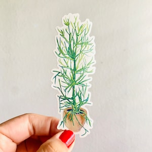 Cactus lápiz en maceta / Calcomanía de 10 cm / Impermeable y resistente a la intemperie / Cactus nopal latino