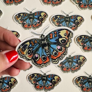 Adesivo de borboleta azul Buckeye | Arte ilustrada | Adesivo de borboleta