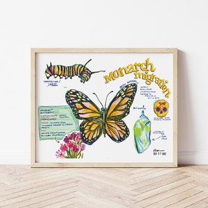 Monarch Butterfly | Migration | Naturalist Poster