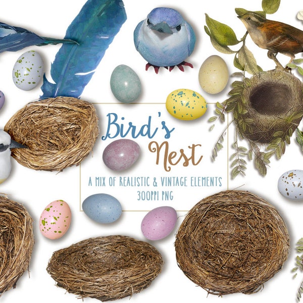 Bird's Nest Elements, Spring, Vintage, Stationery, Scrapbooking, Card Making, Crafts, CU, INSTANT DOWNLOAD, Mock Up, Branding, branches