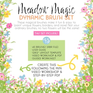 Meadow Magic Brushes for Photoshop & Free Workshop | abr file | Digital Art | Illustration | Scrapbooking | Florals | User Guide - tutorial