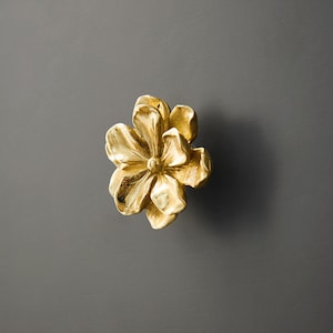 Könnte beinhalten: Ein goldfarbener, blumenförmiger Schrank-Knopf aus Metall.