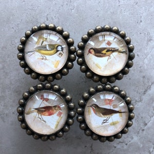 May include: Set of four antique brass cabinet knobs with glass inserts featuring vintage illustrations of birds on envelopes. Each knob has a different bird species.