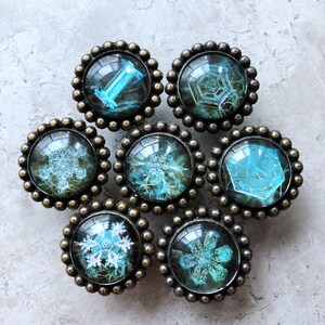 Puede incluir: Siete pomos de armario de estilo antiguo con acabado en bronce oscuro. Cada pomo presenta una inserción de vidrio transparente con un diseño de copo de nieve azul diferente.