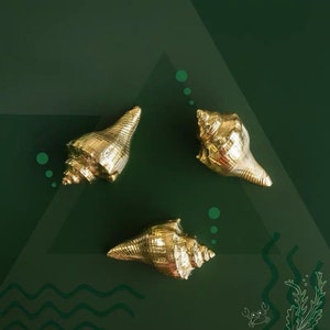 Puede incluir: Tres conchas doradas sobre un fondo verde. Las conchas están dispuestas en forma de triángulo.