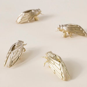 Op de afbeelding: Vier goudkleurige cicada-beeldjes op een witte achtergrond. De cicada's zijn gedetailleerd en realistisch, met ingewikkelde vleugels en poten.