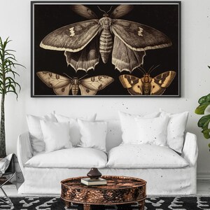 Dark Moth Print: Vintage Cottagecore Botanical Art (Digital Download)