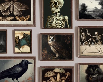 Vintage Aesthetic | Goblincore Oil Painting | Moody Botanical Printable | Vintage Crow Wall Art | Vintage Botanical Decor| Set of 10 |Bun001