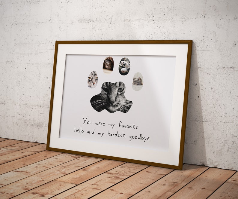 Cat sympathy gift pet loss photo gift pet loss gifts cat