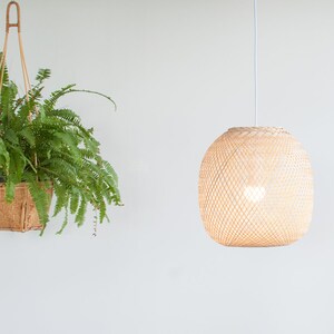 Op de afbeelding: Een hangende plant in een geweven mand met groene bladeren en een geweven lamp die aan het plafond hangt.