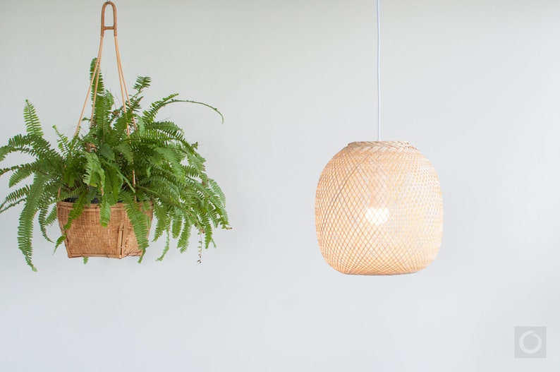 Op de afbeelding: Een hangende plant in een geweven mand met groene bladeren en een geweven lamp die aan het plafond hangt.