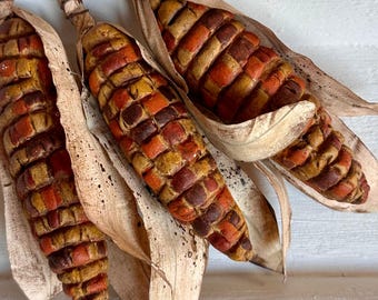 May include: Three decorative ears of corn featuring kernels in shades of orange, yellow, and dark brown. Each ear is partially wrapped in dried, light tan husks that are tied at the top with thin, natural-colored twine.