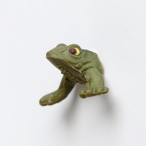 Fridge Magnet "Little frog"